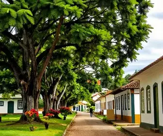 Caminhadas Imperdíveis em Embu das Artes: Descubra os Melhores Caminhos Caminhadas Imperdíveis em Embu das Artes: Descubra os Melhores Caminhos
