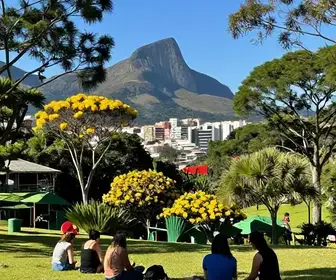 Descubra a Cidade das Abelhas em Cotia: Um Refúgio Natural Próximo a Embu das Artes