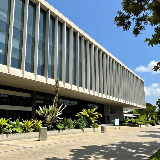 Descubra o Museu de Arte de São Paulo Descubra o Museu de Arte de São Paulo
