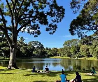 Descubra o Parque da Represinha em Itapecerica da Serra: Um Refúgio Natural Próximo a Embu das Artes Descubra o Parque da Represinha em Itapecerica da Serra: Um Refúgio Natural Próximo a Embu das Artes