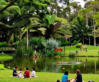 Descubra o Parque do Lago Francisco Rizzo em Embu das Artes Descubra o Parque do Lago Francisco Rizzo em Embu das Artes
