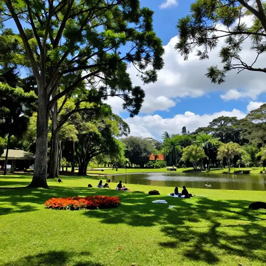 Descubra o Parque Ecológico Imigrantes Descubra o Parque Ecológico Imigrantes