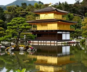 Descubra o Templo Kinkaku-ji: Uma Joia Cultural em Itapecerica da Serra