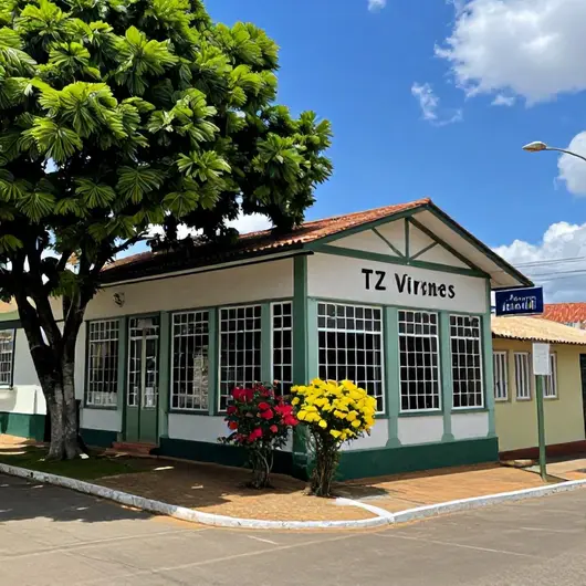 Descubra TZ VIAGENS EMBU DAS ARTES